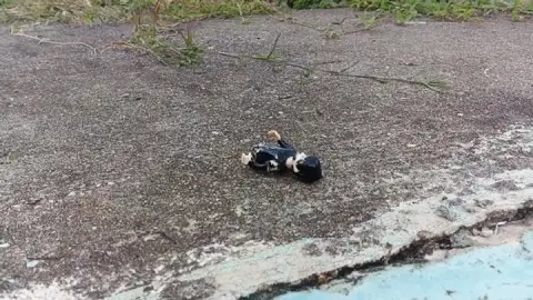 Giant woman in high heels crushes and tramples a man (3)